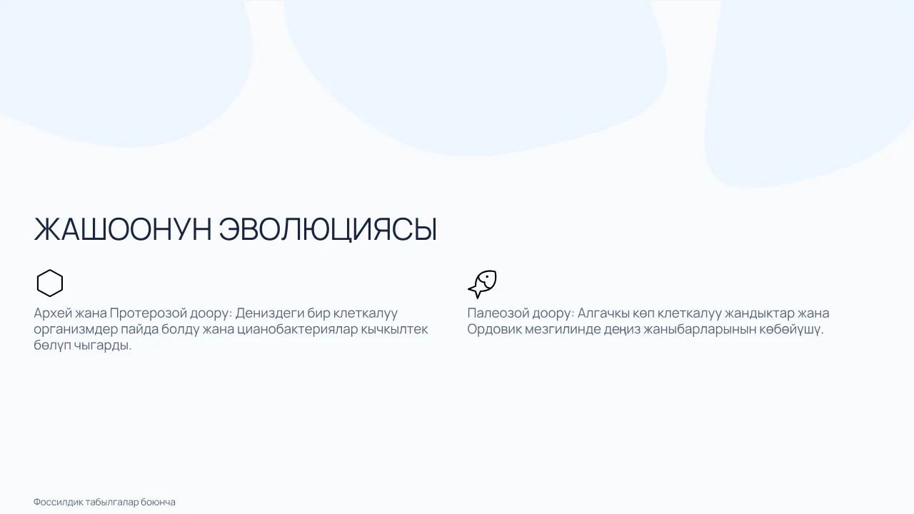 Жашоонун өнүгүү этаптары