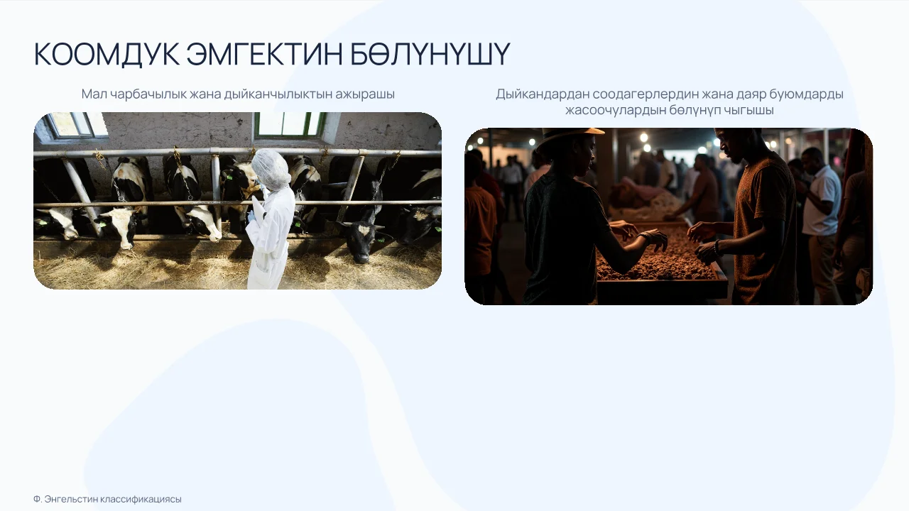 Эмгектин бөлүнүшү